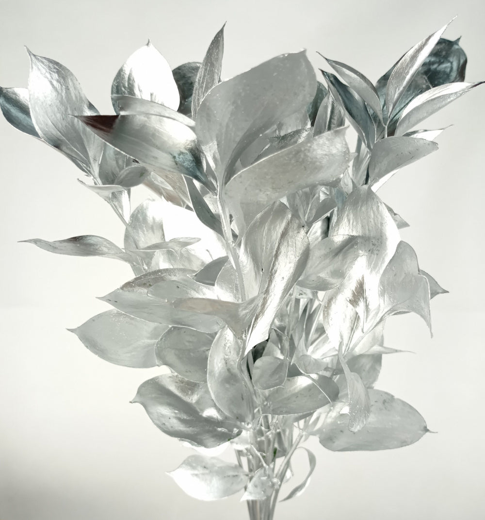 Ruscus Painted Mix (Imported) - Mix