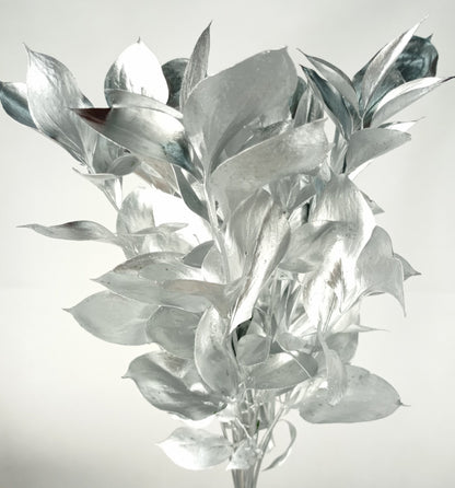 Ruscus Painted Mix (Imported) - Mix