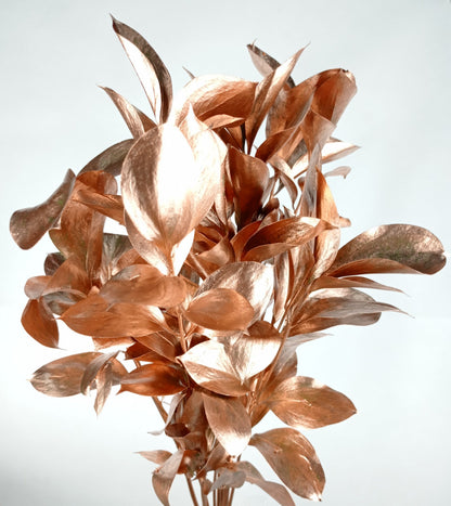 Ruscus Painted Mix (Imported) - Mix