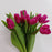Tulip (Imported) - Shocking Pink