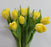 Tulip Double Petal (Imported) - Yellow