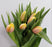 Tulip (Imported) - 2 Tone Pink Yellow