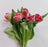 Tulip Double Petal (Imported) - Red
