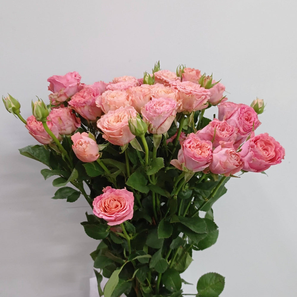 Fully Bloom Rose Spray - Mix [Clearance Stock]