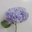 Hydrangea (Imported) - Lilac