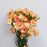 Fully Bloom Spray Carnation (Imported) - Mix [Clearance Stock]