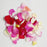 Rose Petals 100g - Mix