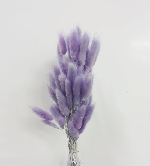 Dried Bunny Tail (Imported) - Purple