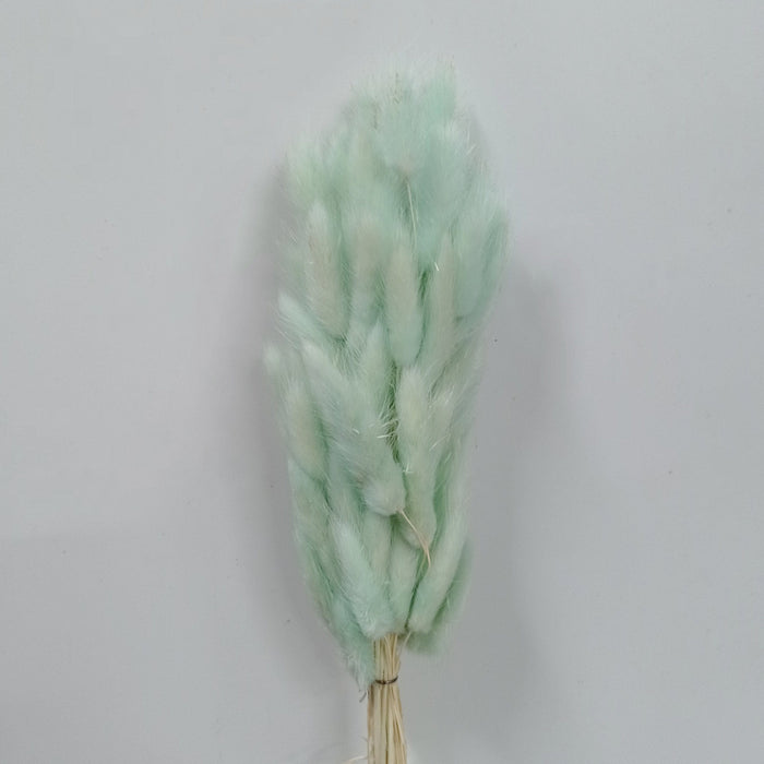Bunny Tail (Imported) - Mint