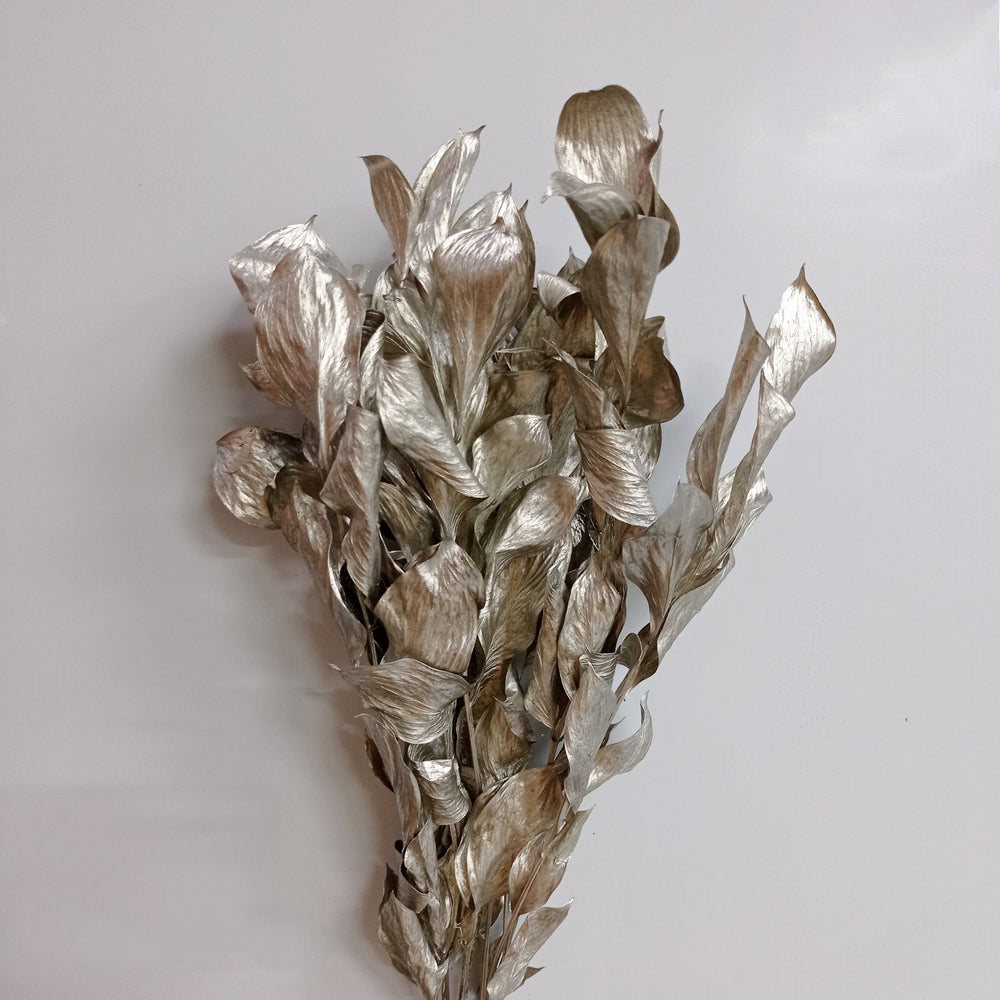Ruscus Painted Mix (Imported) - Mix