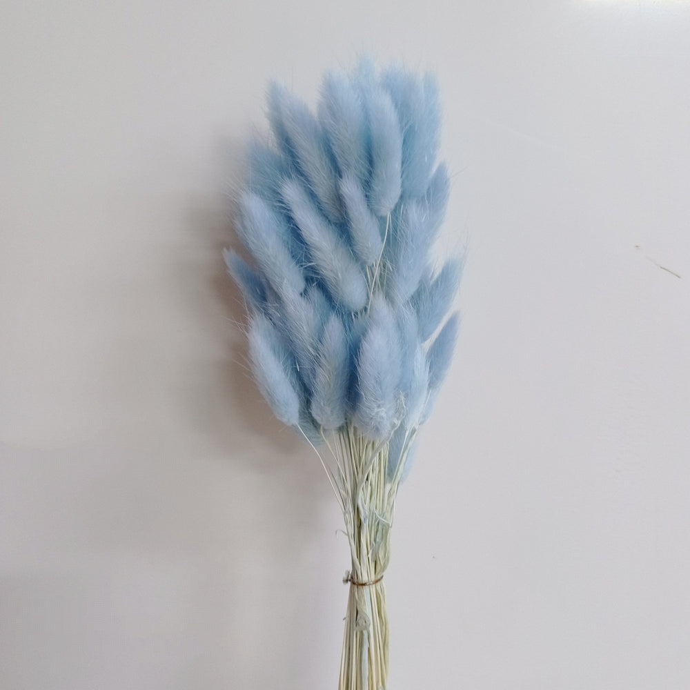 Preserved Rabbit Tail (Imported) - Light Blue
