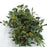 Eucalyptus Populus With Berry (Imported) - Green