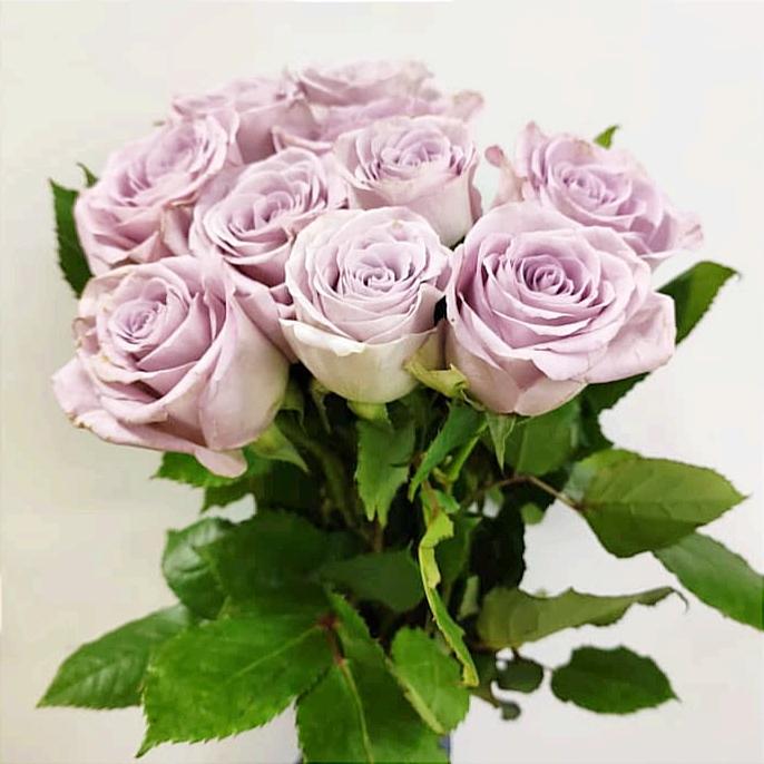 Rose 40cm (Imported) - Purple