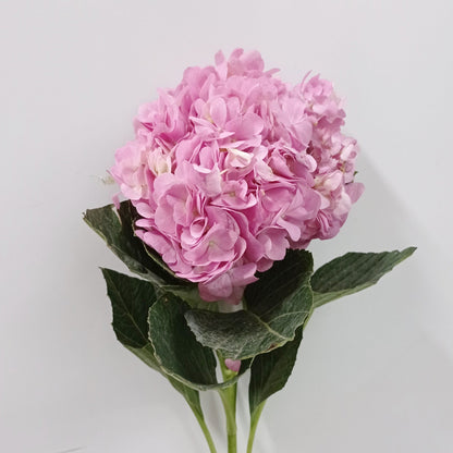 Fully Bloom Hydrangea - Mix [Clearance Stock]