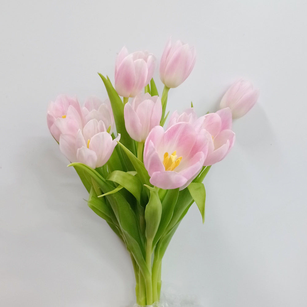 Fully Bloom Tulip - Mix [Clearance Stock]
