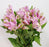 Fully Bloom Alstromeria (Imported) - Mix [Clearance Stock]