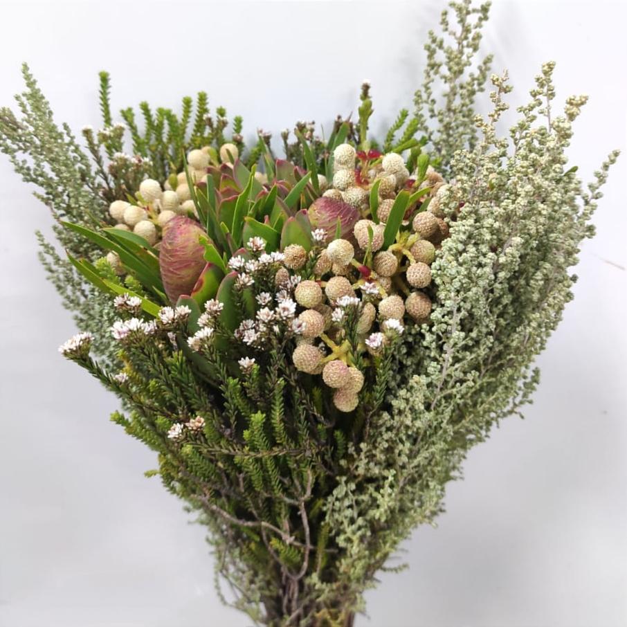Cape Bouquet Tint