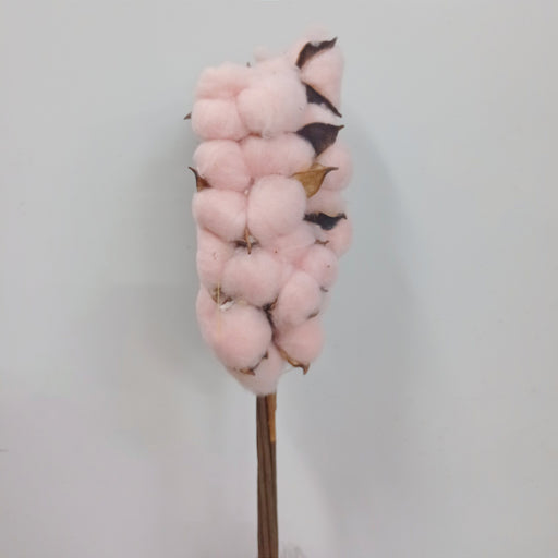 Cotton Flower (Imported) - Light Pink