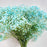 Gypsophila Baby's Breath 500g (Imported) - Turquoise Blue