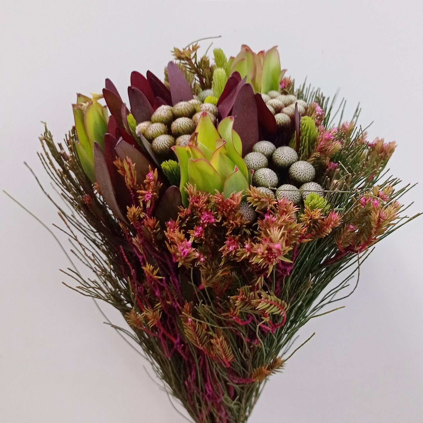 Cape Bouquet Tint