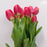 Tulip (Imported) - Red