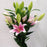 Lily Oriental Sorbone (Imported) - Light Pink