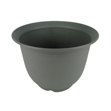 Plastic Flower Pot 558 Mix (Local) - Mix