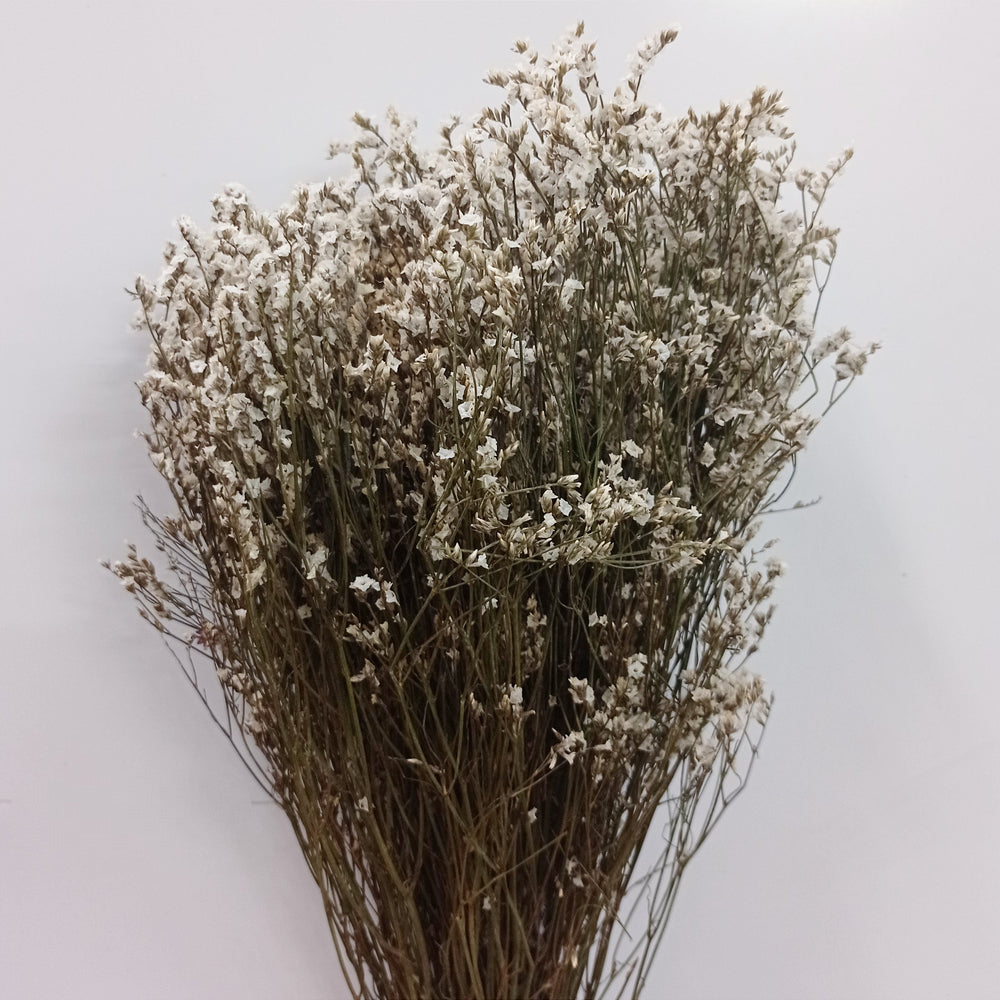 Dried Casphia