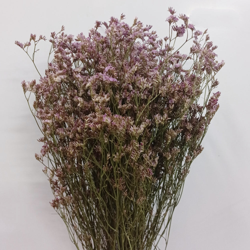 Dried Casphia