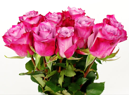 Rose (Imported) - Mix