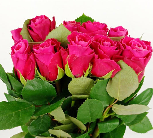 Rose (Imported) - Mix