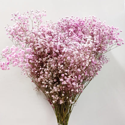 Fully Bloom Ecuador Baby Breath 80cm | 10 Stems - Mix