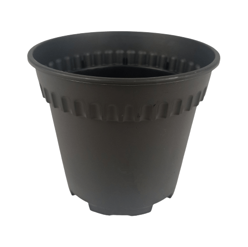 BABA Bi-rd-120 Pot (Local) - Black
