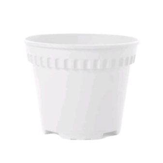 BABA Bi-rd-170 Pot (Local) - White