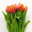 Tulip (Imported) - 2 Tone Orange