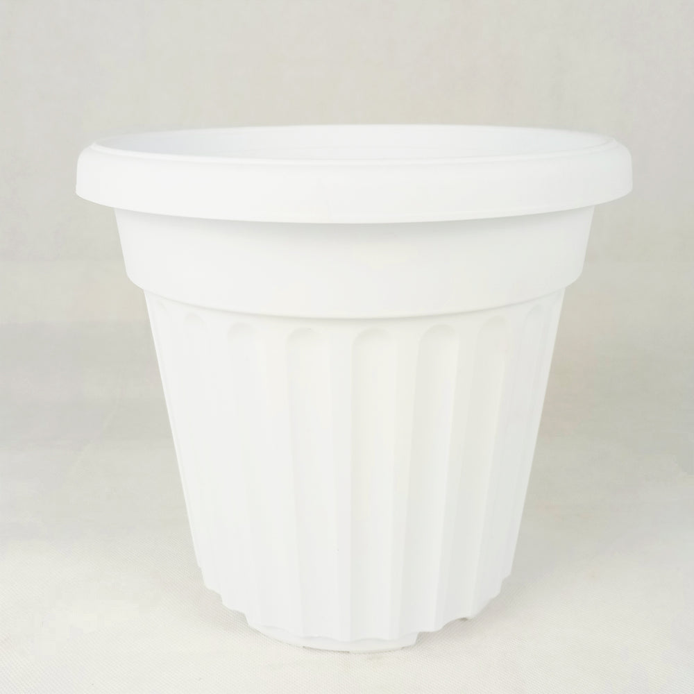 BABA Bi-Rd-260 Pot (Local) - Mix