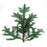 Christmas Tree Branches - Noble Fir (1KG)