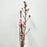 Prunus Peach Blossom (Imported) - Pink