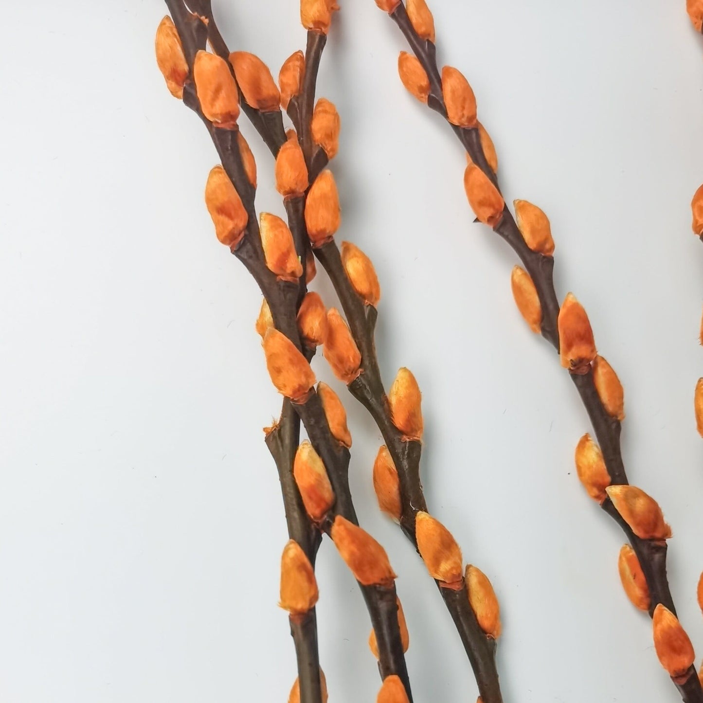 [Pre-Order] Pussy Willow - Gold (6ft)