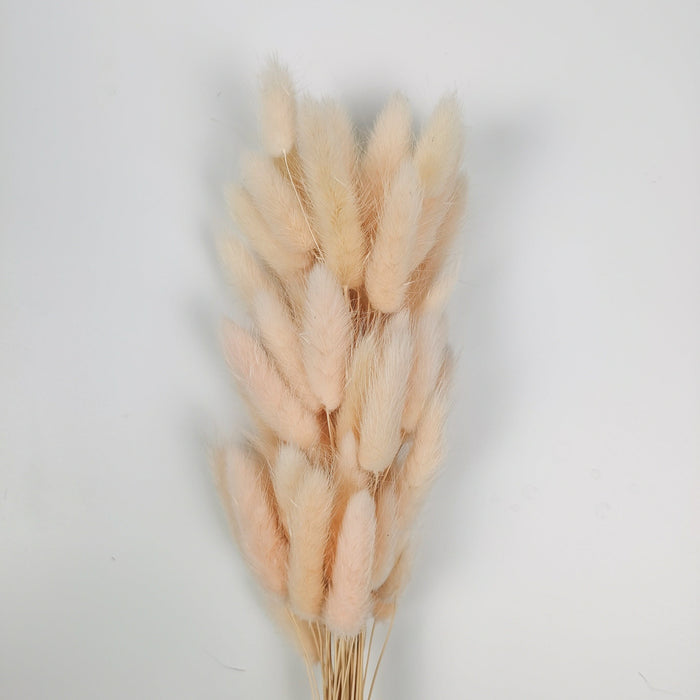 Preserved Rabbit Tail (Imported) - Light Peach