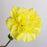 Carnations (Imported) - Yellow