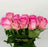 Rose 40cm (Imported) - Pink