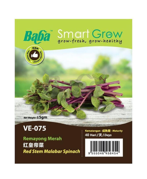 BABA Vegetable Seeds - Red Stem Malabar Spinach