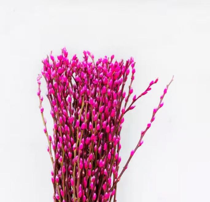 [Clearance] Pussy Willow 6Ft (Imported) - Sweet Pink (10 Stalks)