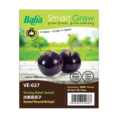 BABA Vegetable Seeds - Sentul Round Brinjal