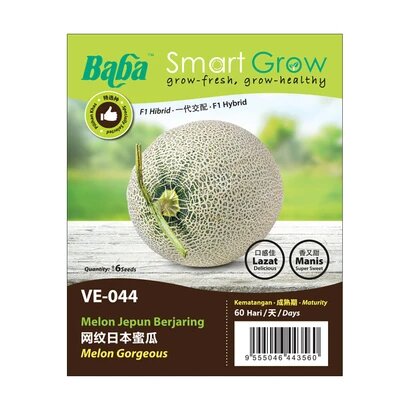 BABA Vegetable Seeds - Melon Gorgeous