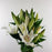 Casa Siberia Lily (Imported) - White