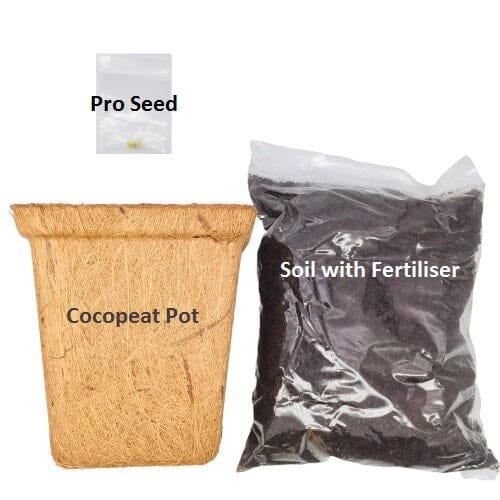 Nanotech Easygrow Flower