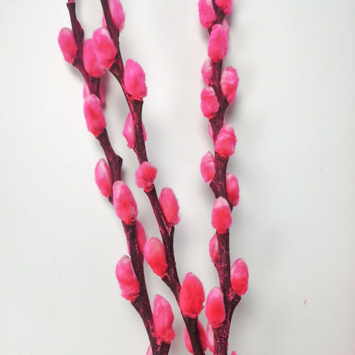 [BUY 1 FREE 1] Pussy Willow 6Ft (Imported) - Sweet Pink (10 Stalks)