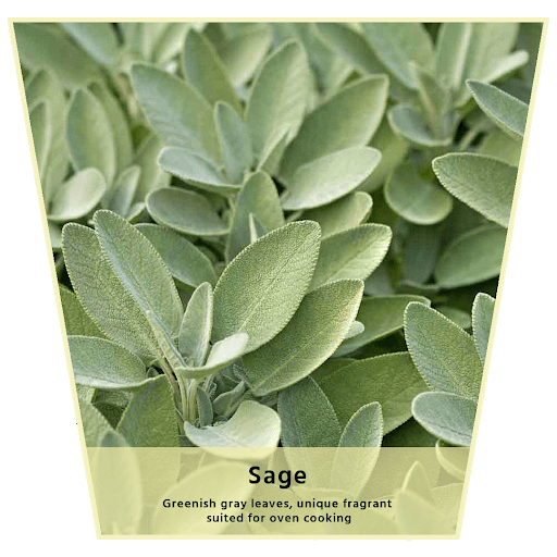 Nanotech Herb Easygrow